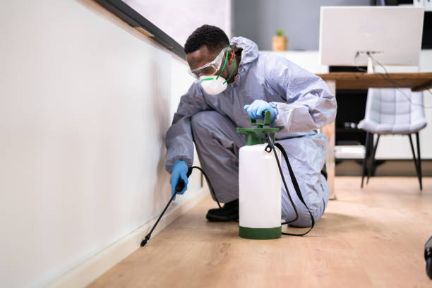 Emergency Pest Control Services in Ashland, AL